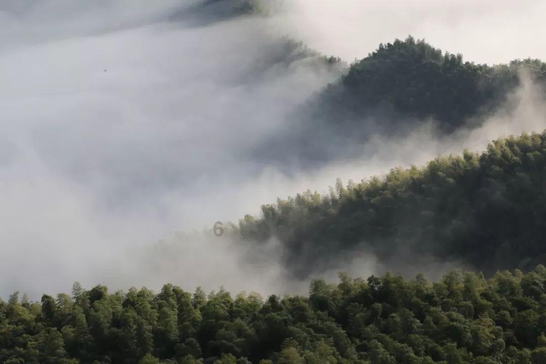 和老婆分开两地打工怎么办？